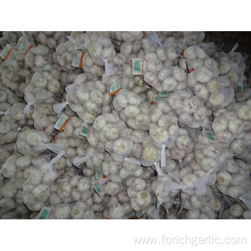 Fresh Normal White Garlic High Quality